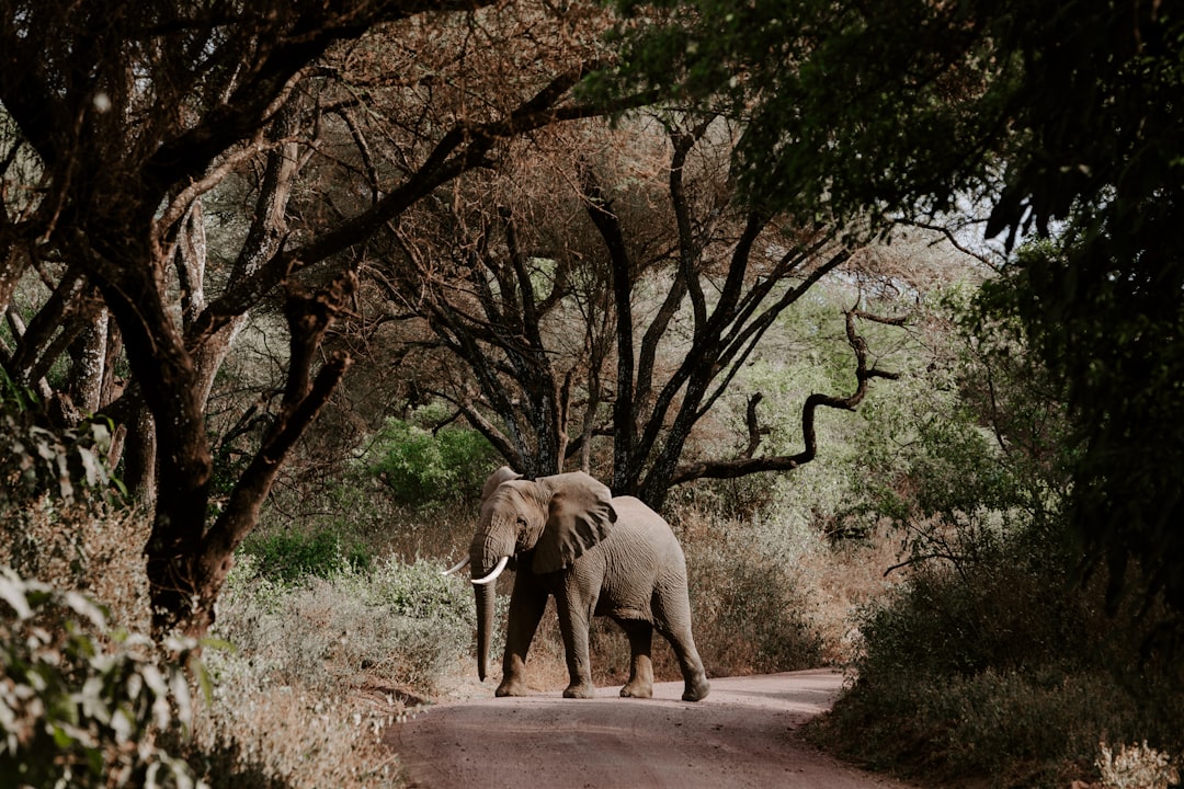 Een dag vol avontuur in Sanjes Safari: het leukste familiepark van Noord Nederland