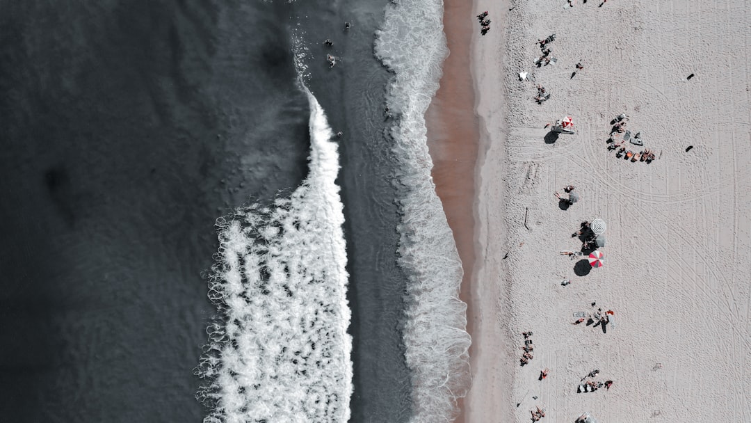 Speelplezier groeit tot grote hoogte bij Kabonk Breda