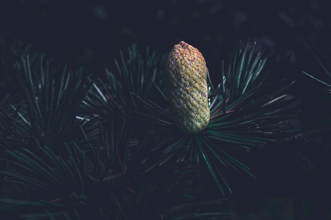 Knutselen kinderfeestje: creatief plezier voor iedereen